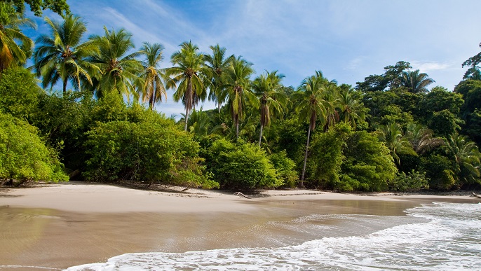 ビーチ_バラエティクルーズ