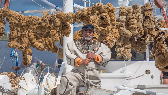 カリムノス_スポンジダイバー