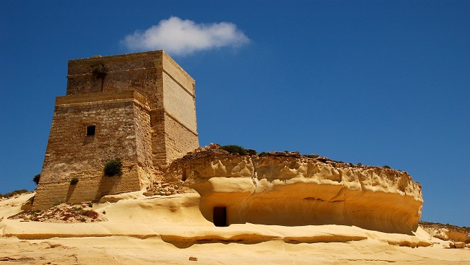 ゴゾ_バラエティクルーズ