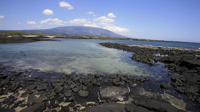 フェルナンディナ島の溶岩_ガラパゴスクルーズ
