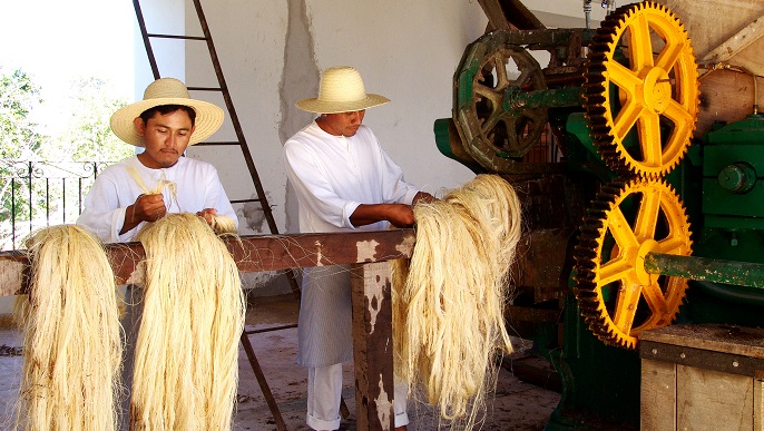 アシエンダの様子