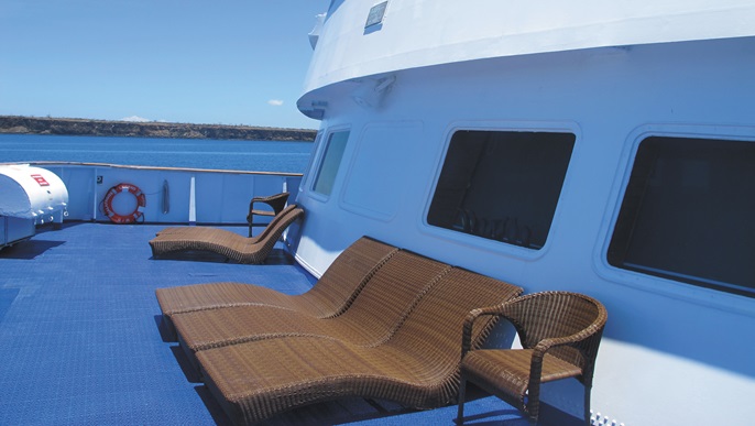 ドルフィン観察デッキ_ガラパゴスクルーズ