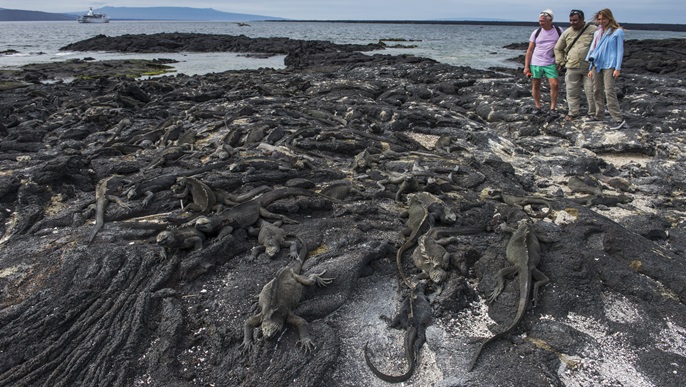 フェルナンディナ島_ガラパゴスクルーズ