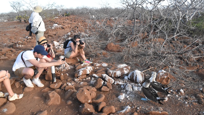 船外活動_ガラパゴスクルーズ