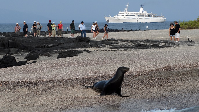 船外活動_ガラパゴスクルーズ