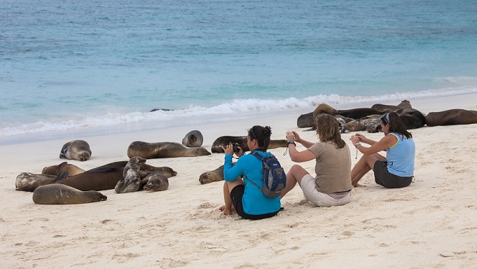 ガラパゴスアシカ/ガラパゴス観光