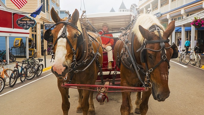 マキノー島観光