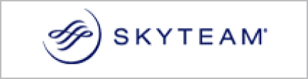 スカイチーム