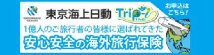 ネットで申込！東京海上日動火災Trip-i