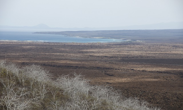 タグス・コーブ（Tagus Cove）